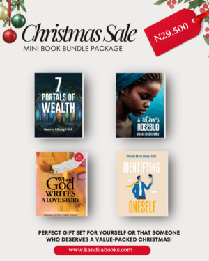 CHRISTMAS MINI BOOK BUNDLE OFFER